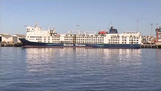 A ship carrying thousands of livestock returns to Australia after month-long ordeal | iNFOnews.ca A ship carrying thousands of livestock returns to Australia after month-long ordeal | iNFOnews.ca