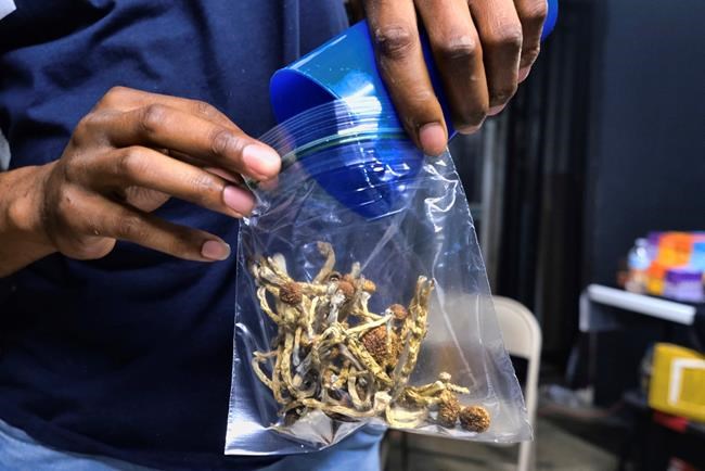 California could legalize psychedelic therapy after rejecting 'magic mushroom' decriminalization | iNFOnews.ca
