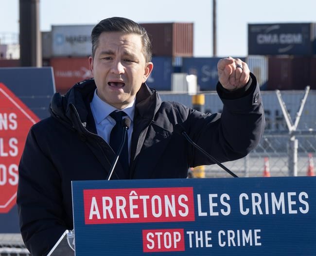 Auto theft: Poilievre would improve screening, add more staff at country's ports | iNFOnews.ca