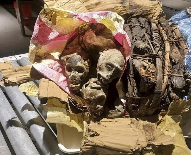 CBP dog sniffs out something unusual in passenger's luggage - mummified monkeys | iNFOnews.ca