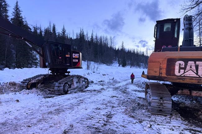 Skiier killed, 2 others hurt after falling about 1,000 feet in Alaska avalanche | iNFOnews.ca