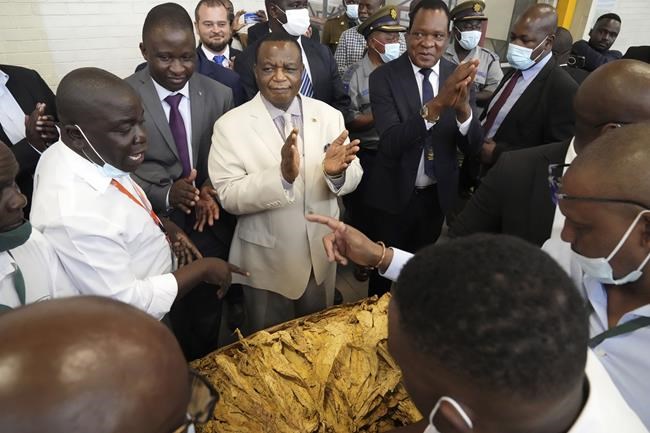 Zimbabwe's vice president says the government will block a scholarship for LGBTQ+ people | iNFOnews.ca Zimbabwe's vice president says the government will block a scholarship for LGBTQ+ people | iNFOnews.ca