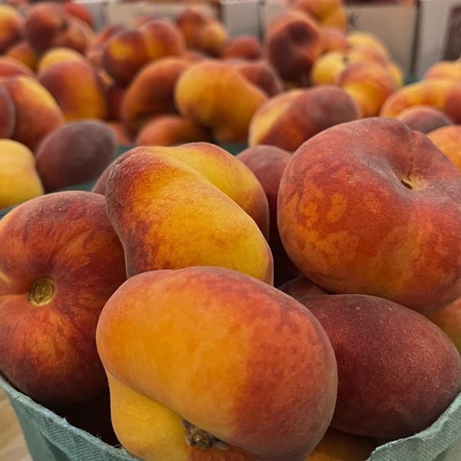 Dreaming of summer peaches? Some gardening tips for growing a peach tree in many climates | iNFOnews.ca Dreaming of summer peaches? Some gardening tips for growing a peach tree in many climates | iNFOnews.ca