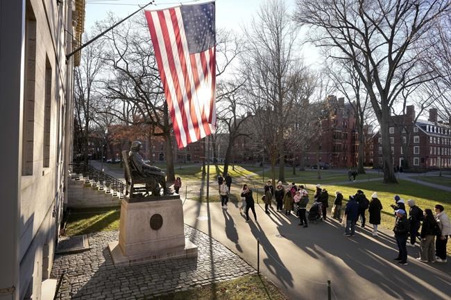 Harvard condemns student and faculty groups for posting antisemitic cartoon | iNFOnews.ca