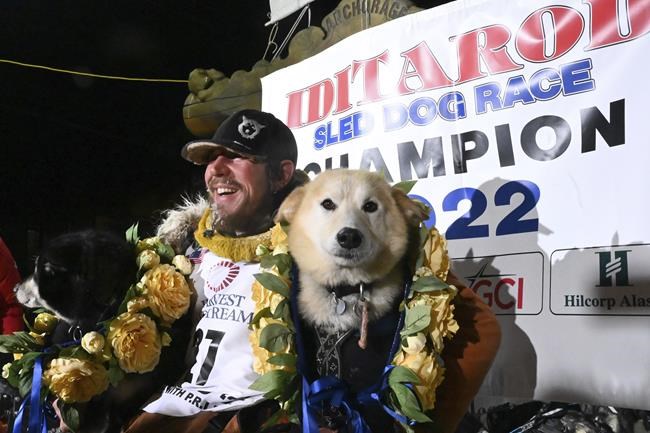 Assault claims roil Iditarod sled dog race as 2 top mushers are disqualified, then 1 reinstated | iNFOnews.ca Assault claims roil Iditarod sled dog race as 2 top mushers are disqualified, then 1 reinstated | iNFOnews.ca