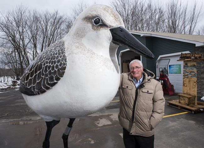 N.B. municipality spent $19K to investigate councillor over giant bird statue | iNFOnews.ca