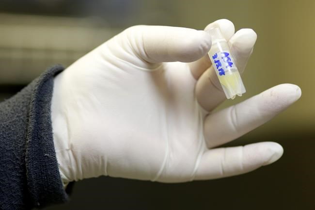 Florida lawmaker pulls bill on wrongful death of unborn children after Alabama IVF ruling | iNFOnews.ca Florida lawmaker pulls bill on wrongful death of unborn children after Alabama IVF ruling | iNFOnews.ca