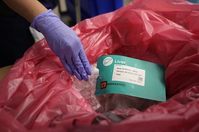 Quebec's organ donor wait list decreasing, but the province can do better | iNFOnews.ca