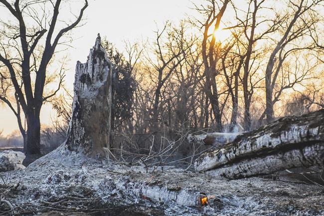Wildfire grows into one of largest in Texas history as flames menace multiple small towns | iNFOnews.ca