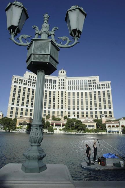 Las Vegas' Bellagio pauses fountain show when rare bird visits | iNFOnews.ca