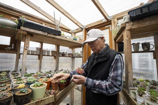'It's so sad': B.C. gardeners grieve as they take stock of cold snap's toll | iNFOnews.ca
