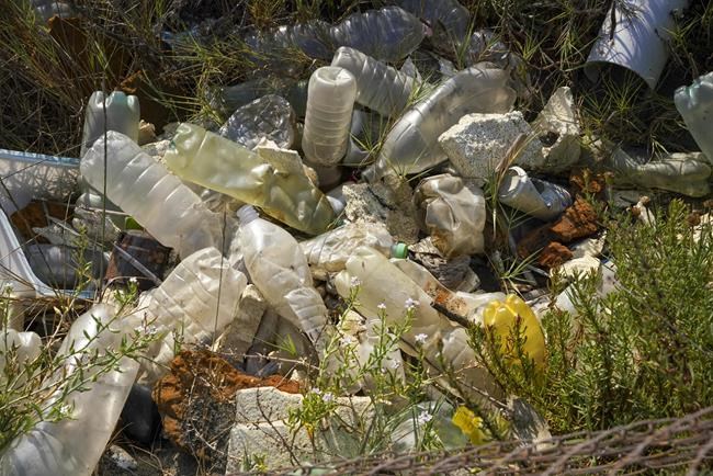 Study raises questions about plastic pollution's effect on heart health | iNFOnews.ca