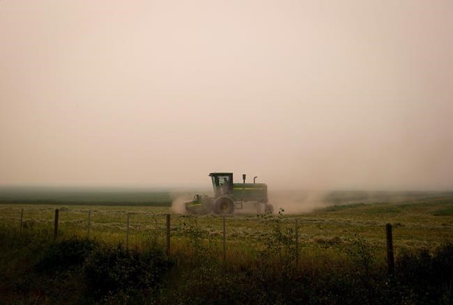 'Old MacDonald went broke': Technology helps grain farmers confront weather woes | iNFOnews.ca 'Old MacDonald went broke': Technology helps grain farmers confront weather woes | iNFOnews.ca