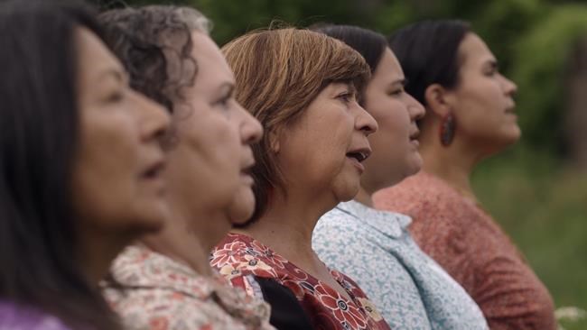 Films about Indigenous influences, declawing cats among Hot Docs world premieres | iNFOnews.ca