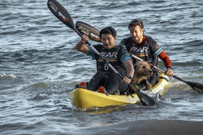 Movie Review: Man and dog and adventure racing in ‘Arthur the King’ | iNFOnews.ca Movie Review: Man and dog and adventure racing in ‘Arthur the King’ | iNFOnews.ca