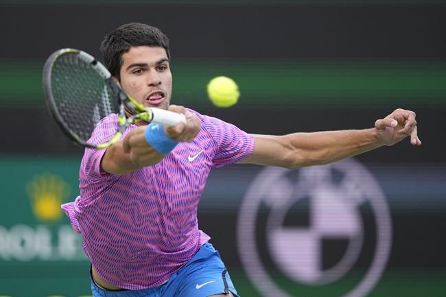 Bees cause a buzz and lengthy disruption at Indian Wells tennis during Alcaraz vs Zverev match | iNFOnews.ca