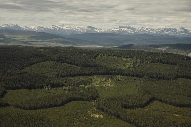 Alberta government releases no-go zone map for renewable power projects | iNFOnews.ca Alberta government releases no-go zone map for renewable power projects | iNFOnews.ca