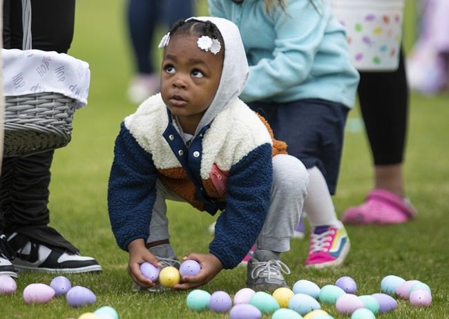 Bird flu, weather and inflation conspire to keep egg prices near historic highs for Easter | iNFOnews.ca
