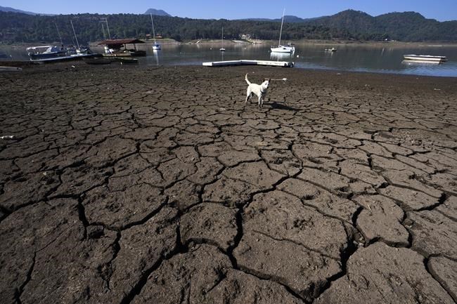Mexican authorities stop water extraction from reservoir that's home to upscale lakeside community | iNFOnews.ca Mexican authorities stop water extraction from reservoir that's home to upscale lakeside community | iNFOnews.ca