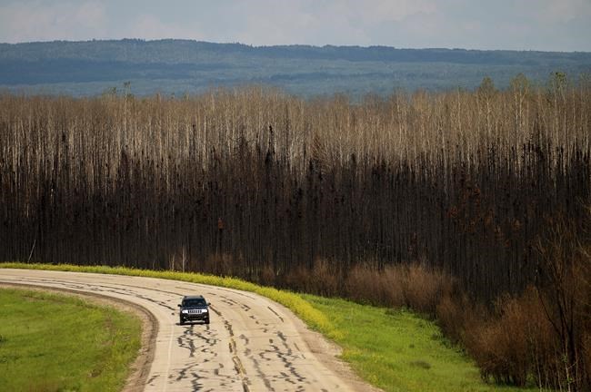 Record Alberta fires changed forests for decades and destroyed rare habitat: report | iNFOnews.ca Record Alberta fires changed forests for decades and destroyed rare habitat: report | iNFOnews.ca