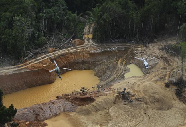 Mercury exposure widespread among Yanomami tribe in Amazon, report finds | iNFOnews.ca