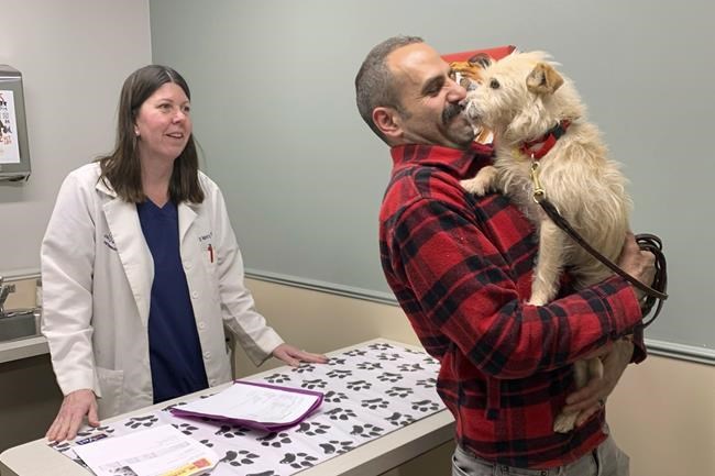 A California dog missing since the summer is found in Michigan | iNFOnews.ca