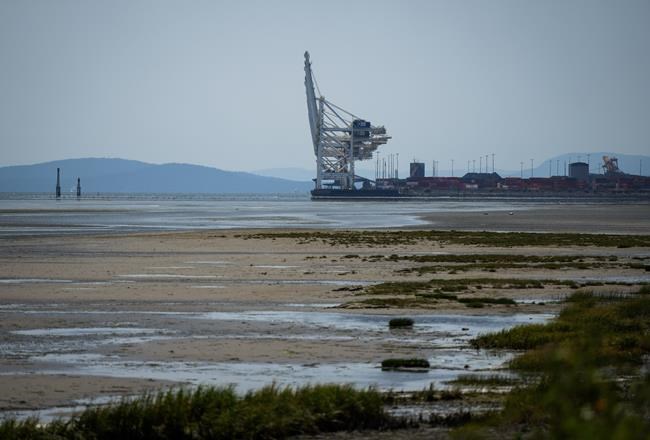 B.C. container terminal operator calls its emissions data a 'trade secret' | iNFOnews.ca B.C. container terminal operator calls its emissions data a 'trade secret' | iNFOnews.ca