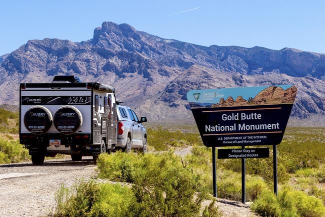 10 years after armed standoff with federal agents, Bundy cattle are still grazing disputed rangeland | iNFOnews.ca