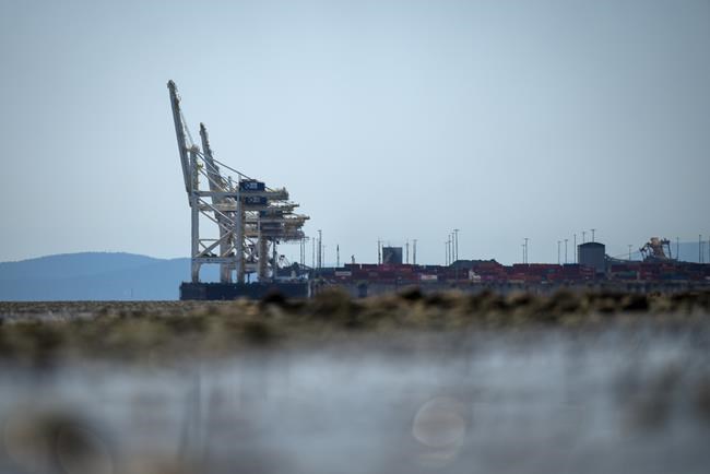B.C. port terminal among sites blocked in co-ordinated pro-Palestinian protests | iNFOnews.ca