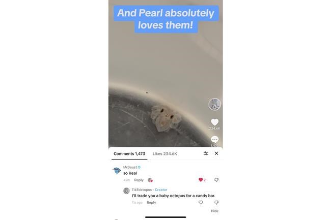 A 9-year-old boy's dream of a pet octopus is a sensation as thousands follow Terrance's story online | iNFOnews.ca
