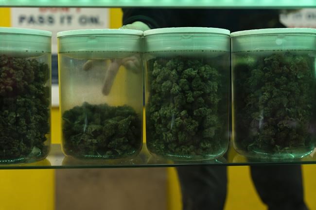 4/20 grew from humble roots to marijuana's high holiday | iNFOnews.ca 4/20 grew from humble roots to marijuana's high holiday | iNFOnews.ca