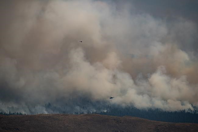 'Trees going up like Roman candles' as fire season starts early in B.C., Alberta | iNFOnews.ca 'Trees going up like Roman candles' as fire season starts early in B.C., Alberta | iNFOnews.ca