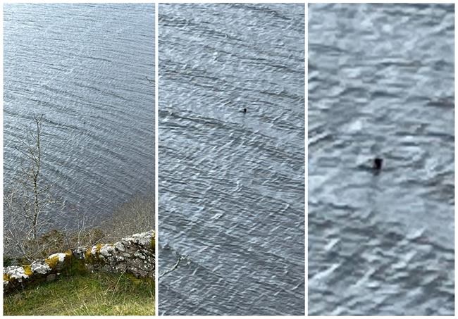 'Nessie' sighting vaults Canadian couple into media spotlight after photo in Scotland | iNFOnews.ca 'Nessie' sighting vaults Canadian couple into media spotlight after photo in Scotland | iNFOnews.ca