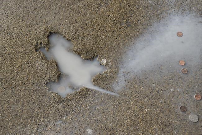 Chicago's 'rat hole' removed after city determines sidewalk with animal impression was damaged | iNFOnews.ca