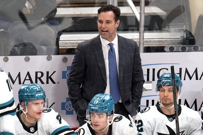 Rebuilding Sharks fire coach David Quinn after 2 disappointing seasons | iNFOnews.ca Rebuilding Sharks fire coach David Quinn after 2 disappointing seasons | iNFOnews.ca