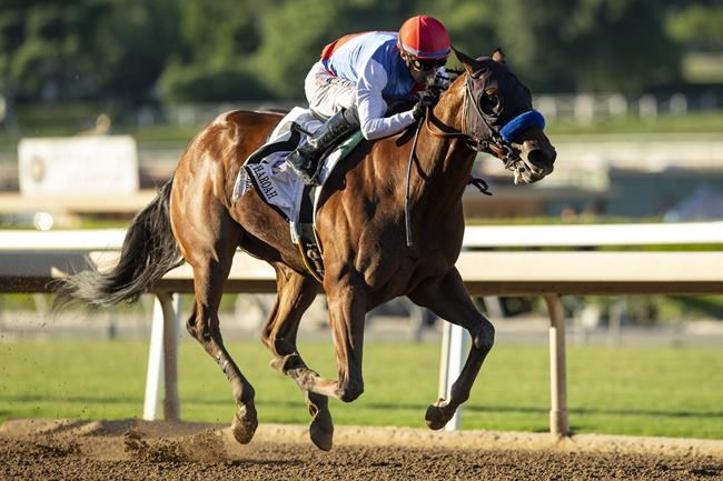 Kentucky appeals court denies Bob Baffert-trained Arkansas Derby winner Muth to enter Kentucky Derby | iNFOnews.ca