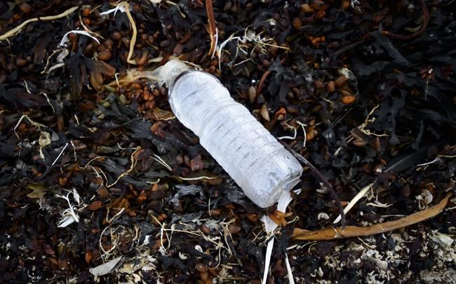 Billions of bottles: Canadian statistics paint grim picture of plastic litter problem | iNFOnews.ca Billions of bottles: Canadian statistics paint grim picture of plastic litter problem | iNFOnews.ca