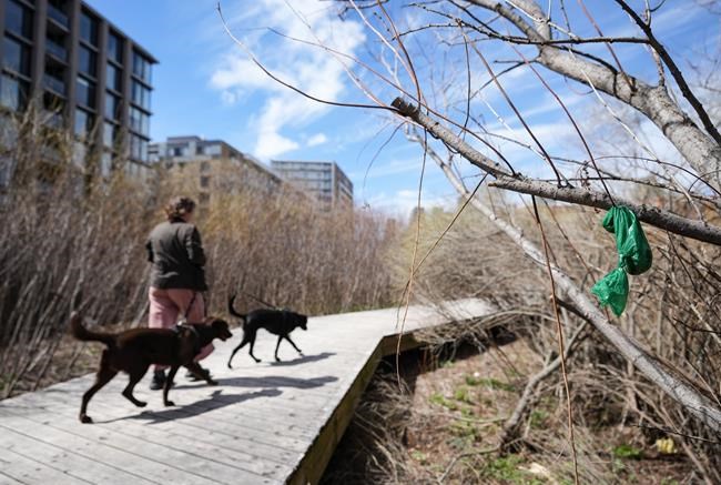Bin there, dumped that: Trash cans to be reinstalled along Montreal's Lachine Canal | iNFOnews.ca