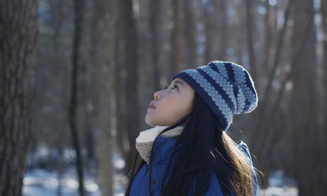 Review: Nature and human nature mingle in the beguiling 'Evil Does Not Exist' | iNFOnews.ca Review: Nature and human nature mingle in the beguiling 'Evil Does Not Exist' | iNFOnews.ca