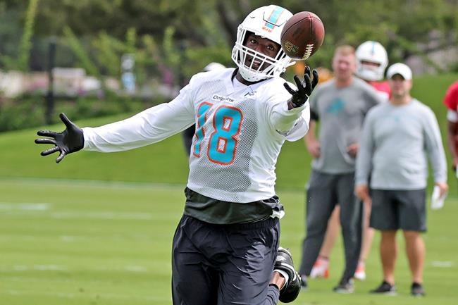 Montreal Alouettes sign former NFL receiver Preston Williams | iNFOnews.ca