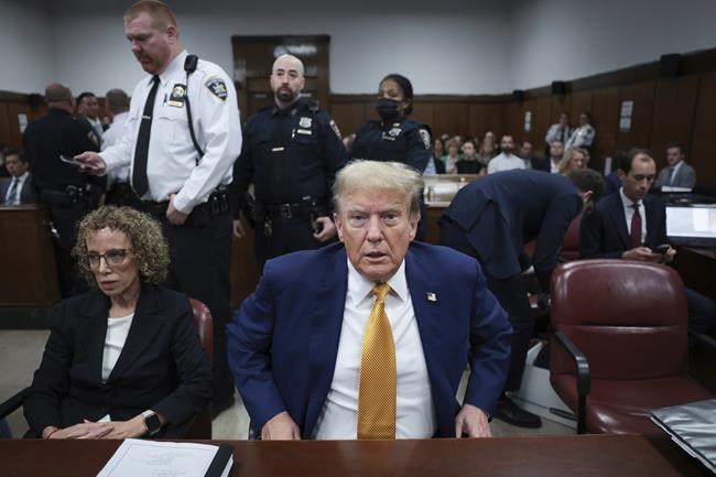 Stormy Daniels describes meeting Trump during occasionally graphic testimony in hush money trial | iNFOnews.ca