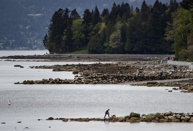 Another barge adrift in Vancouver prompts speedy coast guard response | iNFOnews.ca