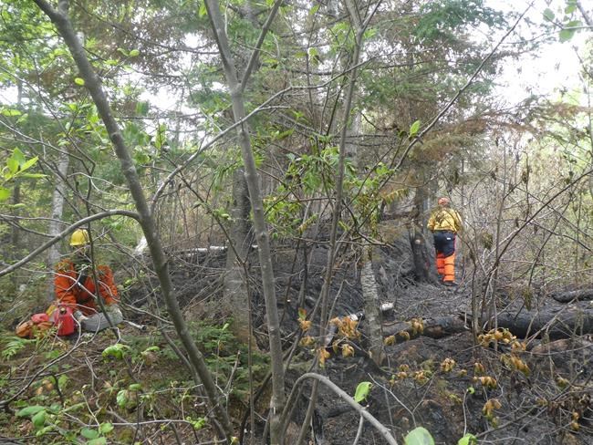 As summer wildfire season nears, Quebec forest fire workers vote for strike mandate | iNFOnews.ca As summer wildfire season nears, Quebec forest fire workers vote for strike mandate | iNFOnews.ca