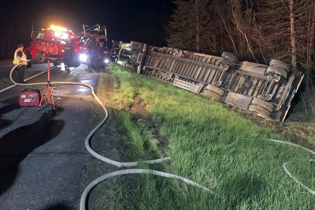 Most of 15 million bees contained after bee-laden truck crashes | iNFOnews.ca Most of 15 million bees contained after bee-laden truck crashes | iNFOnews.ca