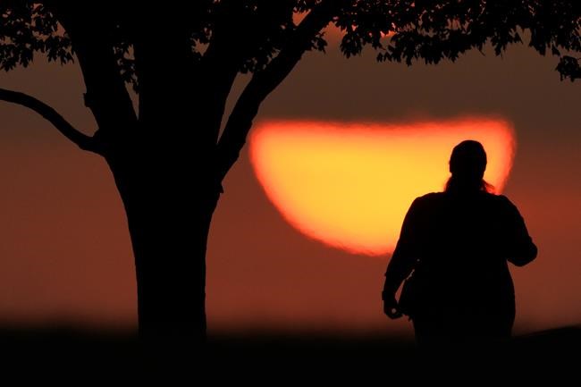 Hot history: Tree rings show that last northern summer was the warmest since year 1 | iNFOnews.ca Hot history: Tree rings show that last northern summer was the warmest since year 1 | iNFOnews.ca