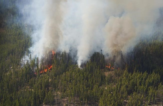 The latest news on wildfires in Canada as thousands forced from homes in the West | iNFOnews.ca The latest news on wildfires in Canada as thousands forced from homes in the West | iNFOnews.ca