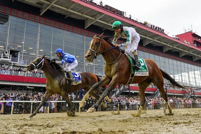 Seize the Grey wins the Preakness for D. Wayne Lukas and ends Mystik Dan’s Triple Crown bid | iNFOnews.ca Seize the Grey wins the Preakness for D. Wayne Lukas and ends Mystik Dan’s Triple Crown bid | iNFOnews.ca