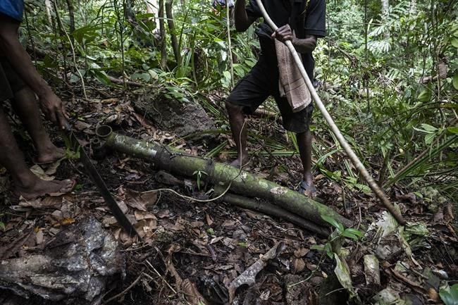 Explorers find what they believe is World War II ace Richard Bong's downed plane in South Pacific | iNFOnews.ca