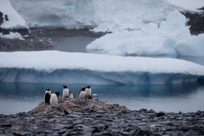 In message to Russia, Chilean lawmakers meet in Antarctica to underline territorial claims | iNFOnews.ca In message to Russia, Chilean lawmakers meet in Antarctica to underline territorial claims | iNFOnews.ca