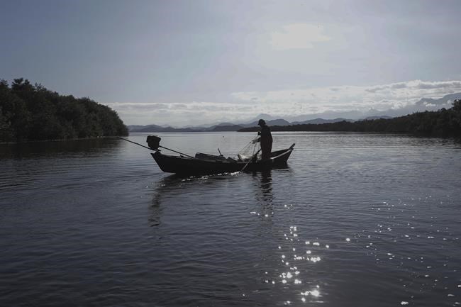 Rio de Janeiro bay reforestation shows mangroves' power to mitigate climate disasters | iNFOnews.ca Rio de Janeiro bay reforestation shows mangroves' power to mitigate climate disasters | iNFOnews.ca
